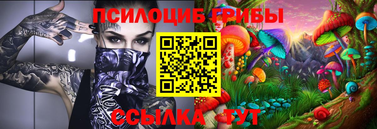 Галлюциногенные грибы прущие грибы Белово
